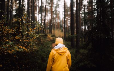The Ultimate Guide to Enjoying Your Hike, Even in the Rain