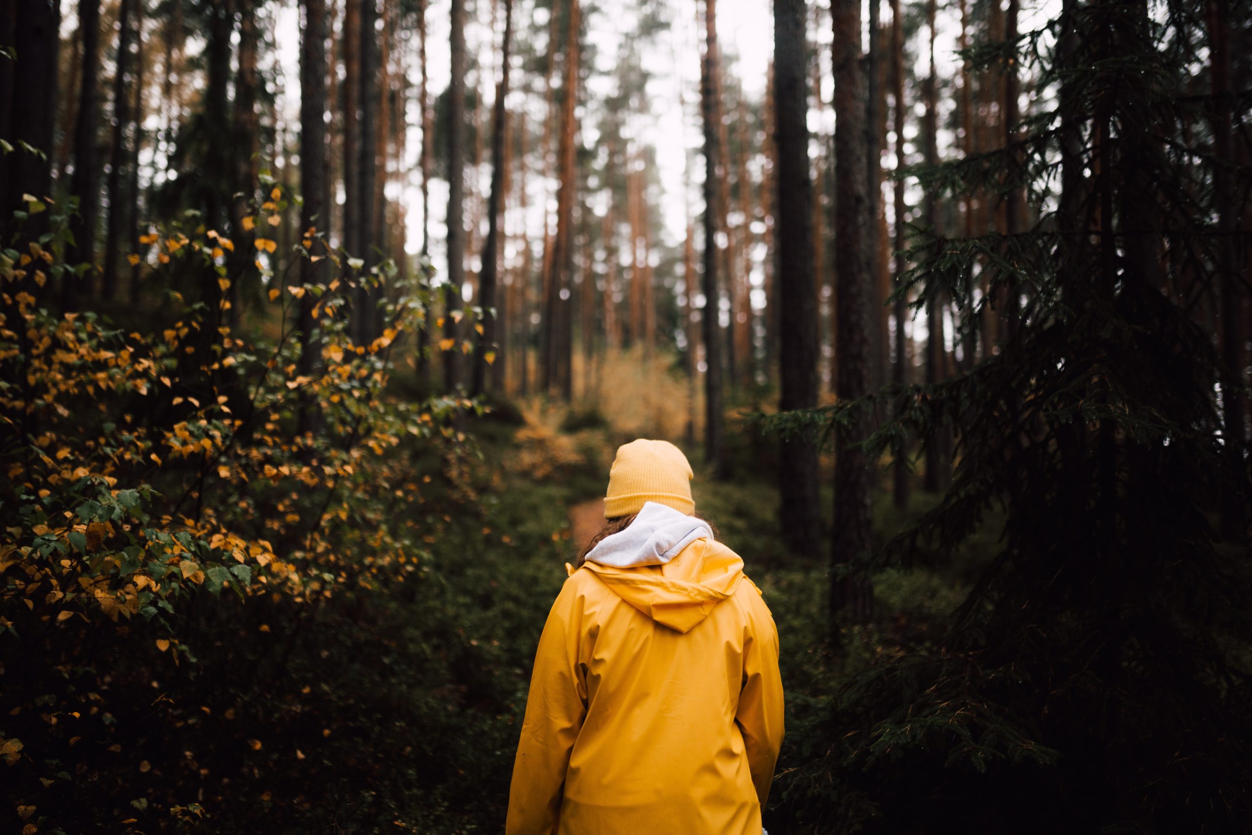 Enjoy hikes even in the rain